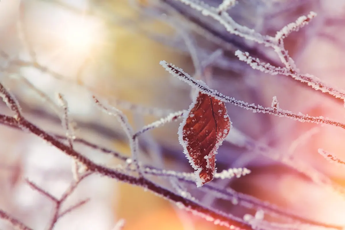 Autumn Home Maintenance Checklist: 15 Jobs Before Winter Arrives
